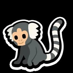 Marmoset