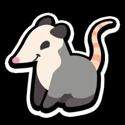 Opossum